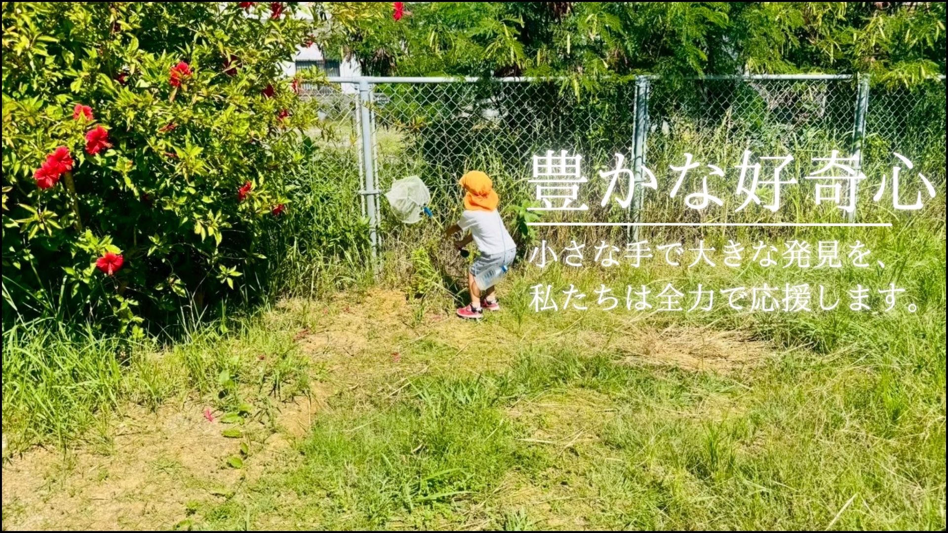 かりゆし保育園 写真4